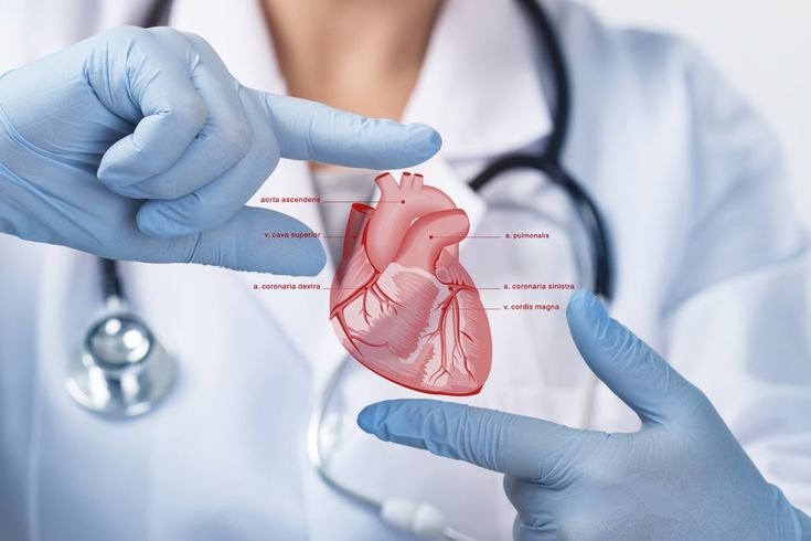 Cardiovascular Surgery