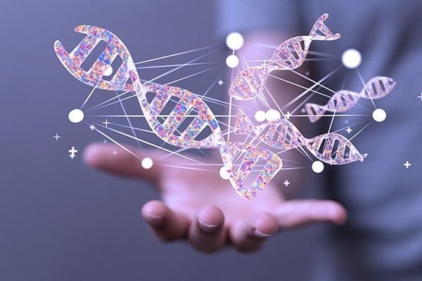 Molecular Biology & Genetics